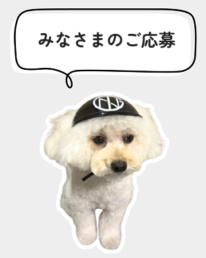 みなさまのご応募