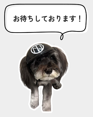 お待ちしております！